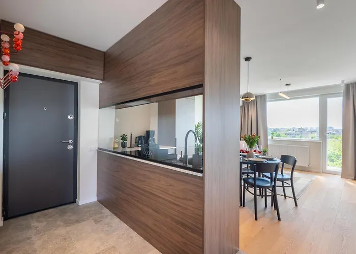Luxury With Amazing Terrace 公寓 布加勒斯特